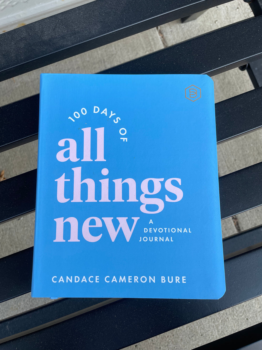 100 Days: All Things New