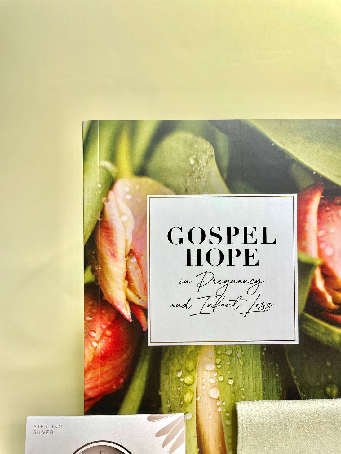 Gospel Hope in Pregnancy and Infant Loss