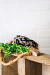 Knotted Headband