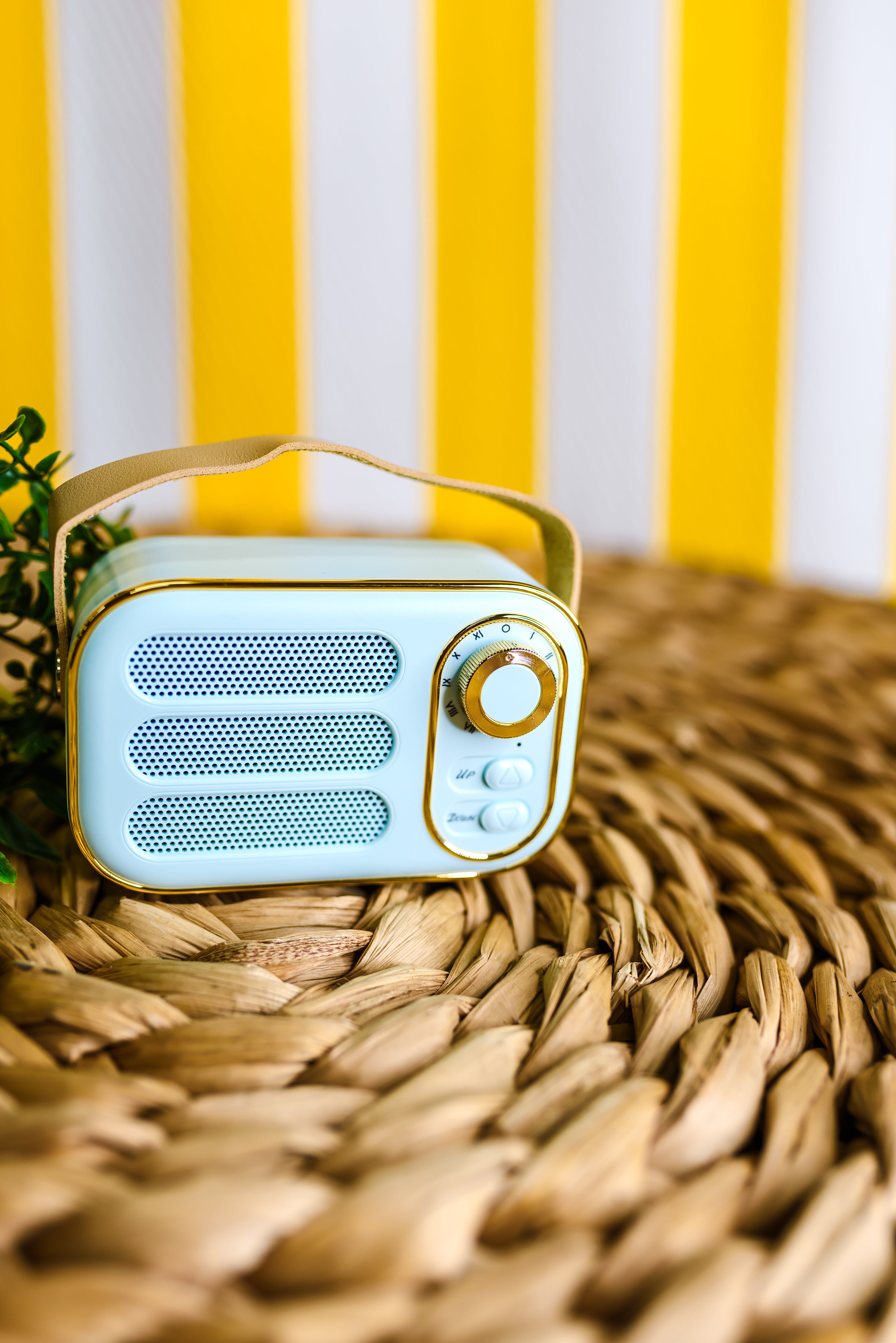 Vintage Radio Speaker