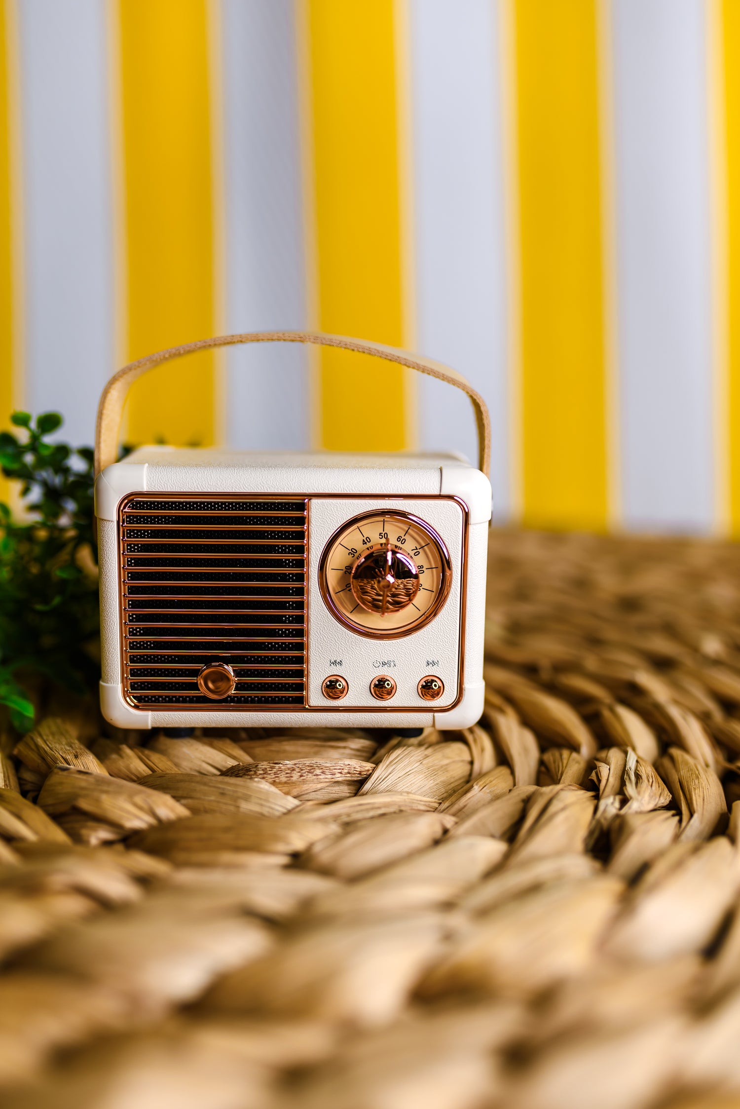 Vintage Radio Speaker